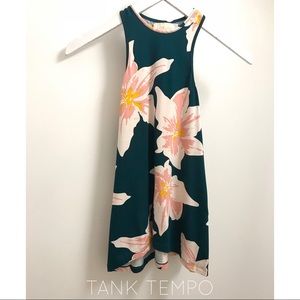 **SOLD** Fighting Eel - Ava Sky